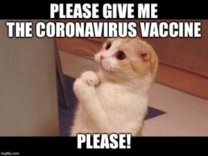 COVID-19 Vaccine Updates: Latest Worldwide Developments 