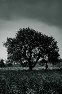 depression tree